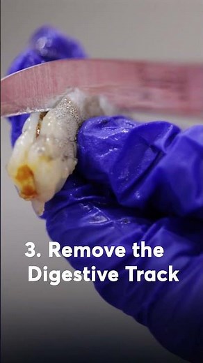 3 Easy Steps to Clean Prawns Like a Pro Chef | TenderCuts Tutorial