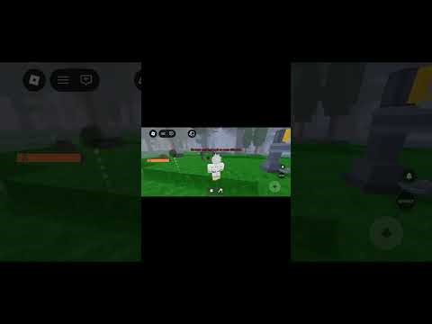 I played 99 nights in the forest