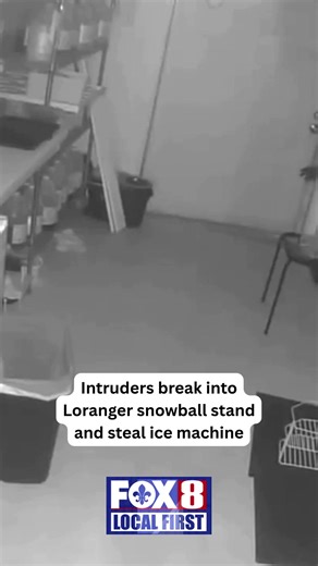 Help Needed: Information on Freeze King Snowball Case