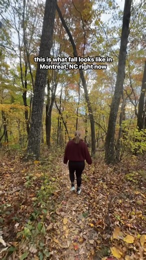 15K views · 195 reactions | If you’re looking for a hike near Asheville, NC - Lookout Mountain is only 30 minutes away and absolutely stunning right now!  #blueridgemountains #ashevillenc #asheville #fallhike | Blair Meeks | Facebook