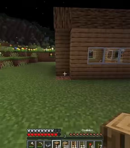 Quand tu arrives à bout mentalement dans Minecraft 😂