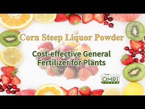 Corn Steep Liquor Powder Cost effective General