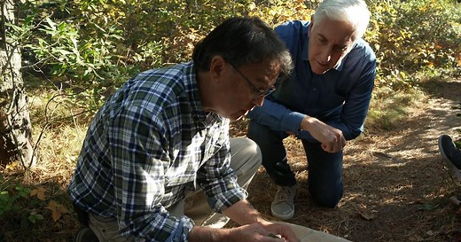 Mouse DNA and the fight against Lyme disease