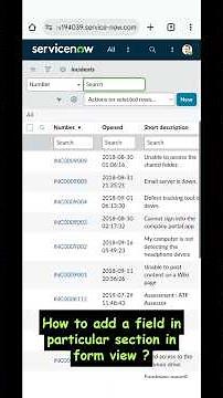 How to add a field in a particular section in form view in servicenow ?