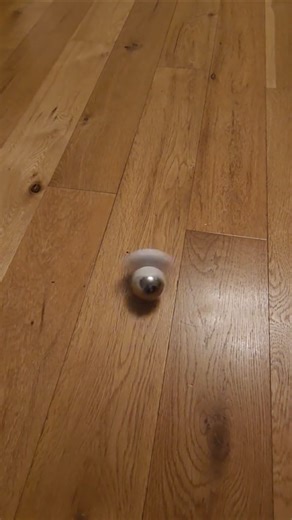 Salt Shaker becomes a fidget spinner - the toy of the week×