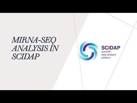 SciDAP miRNA Seq Analysis Workflow Tutorial