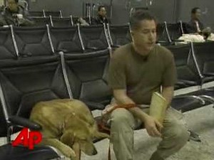 Adopted Iraqi Dogs Come to U.S.
