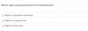 Which right is protected by the First Amendment?Right to a pea... | Filo