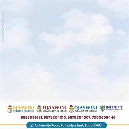 Infinity College on Instagram: "Higher Skies, Brighter Futures. 🌤️🪁 ​May your dreams take flight like a kite this Makar Sankranti. Let’s celebrate the festival of harvest with a commitment to growth, positivity, and excellence. ​#MakarSankranti #OjaswiniGroup #InfinityCollege #SagarMP #EducationFirst BrightFuture"