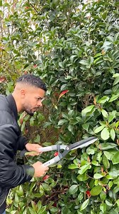 How villain arcs begin… | Jeremy Lynch