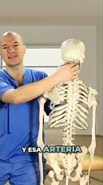 🔴 CERVICALGIA Y MAREOS Roberto te enseña cómo una cervicalgia puede provocar mareos