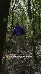 76K views · 107 reactions | James Holland concludes his three-part journey following the Allied invasion of Italy in 1944. | History Hit | Facebook