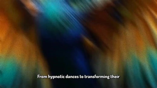 Dancing Birds Of Papua New Guinea - The Birds of Paradise | doctor legacy - png