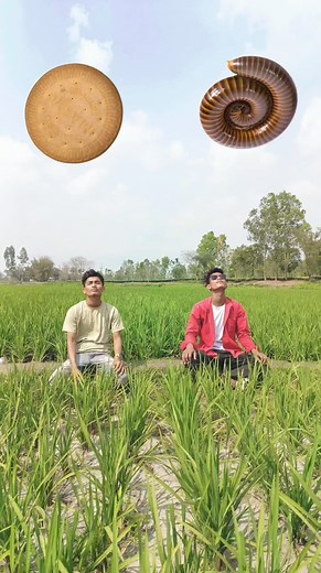 1.1K views · 54 reactions | Eating biscuit, honey, icecream, fruit vs Chilli, Shikhar, insect & alien egg - funny vfx video #viral #trending #video | Nabadwip Roy | Facebook