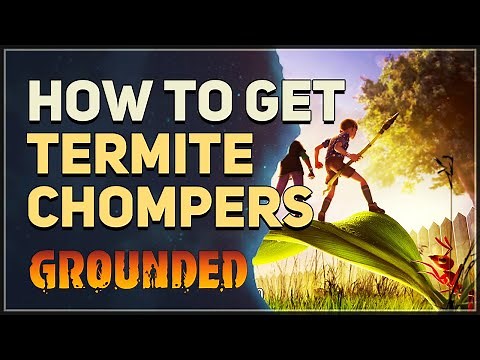 How to get Termite Chompers Grounded