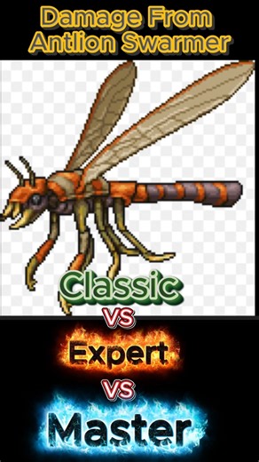 Antlion Swarmer Damage You take In Differend Modes:Classic vs Expert vs Master #terraria #gaming