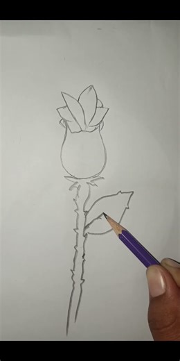 Beautiful Rose Drawing | Easy Rose Sketch Step by Step | Flower Drawing for Beginners#shorts #art