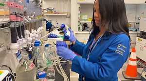 Researchers look at how biofilters can protect waterways