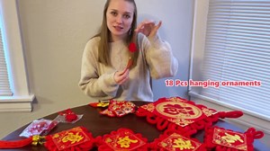 Chinese New Year Decorations 2025 Red Chinese Knot Fu Character and Chinese Knot Couplets-Year of The Snake Lunar New Year Decoration Lucky Hanging Ornaments for Spring Festival Party Decor-21Pcs