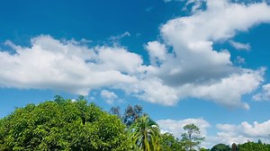 Better tigadzire duty roaster