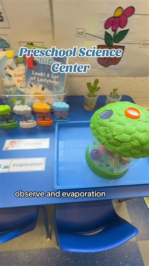 Explore our preschool science center in this video, where we're focusing on two "wow words": **observe** and **evaporation**. I'll give you a tour of the exciting setups we have for the students: our ladybug garden with ladybug larvae, our growing lettuce plants, a variety of seeds, and our evaporation cup. This video showcases how we introduce these concepts to our preschoolers and provides ideas for science activities that help young learners understand and engage with the world around them. |