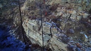 236K views · 2.5K reactions | Top 10 Rarest And Most Beautiful Wild Cats On Earth! | Mysterious Stories | Facebook