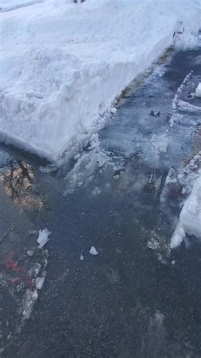 Northerners, get ye a grass seed spreader! #foryou #maine #mainegang #wintah #greasy #dooryard #hardtellinnotknowin