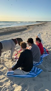 Hello beach friends. 🥰 #greatdane #gr8danearchie #dogsofinstagram | Archie the Great Dane