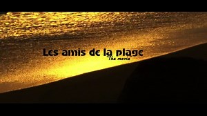 Beach Friends / Les Amis de la Plage