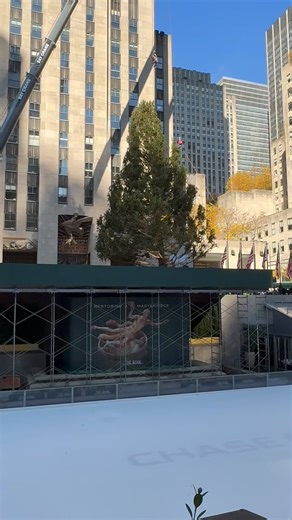 It’s that time of year….. #newyork | I Am Robin