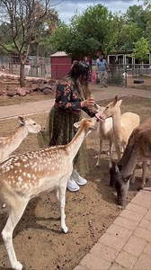 Deer Mistake My Skirt for Food at Feeding Farm || ViralHog