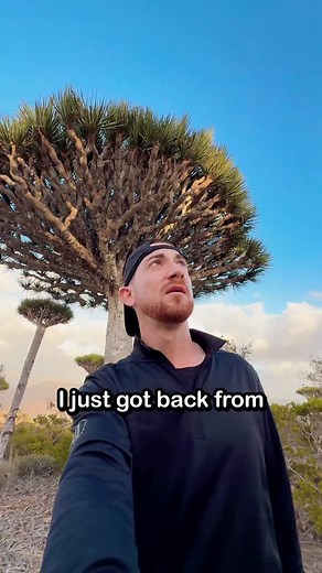 91K views · 2K reactions | Share this with someone you wanna take to Socotra, Yemen - and watch the full documentary I posted on my channel! Such a magical island! | Drew Binsky | Facebook