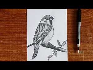 How to Draw a Realistic Bird Easy for Beginners | Step by Step Pencil Drawing Tutorial