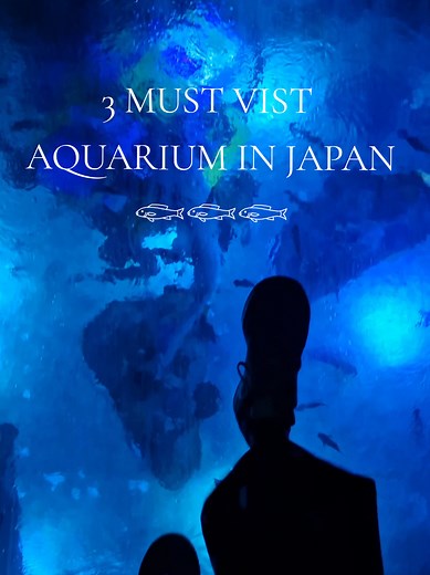 Top 3 Must-Visit Aquariums in Japan
