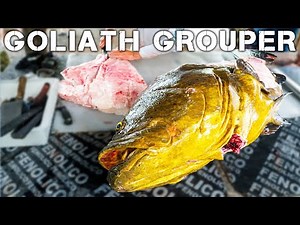 How To Catch & Cook GOLIATH GROUPER - Part 2