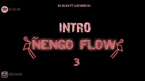 49K views · 596 reactions | INTRO ÑENGO FLOW 3.0 + RKT - DJ SILVA FT...