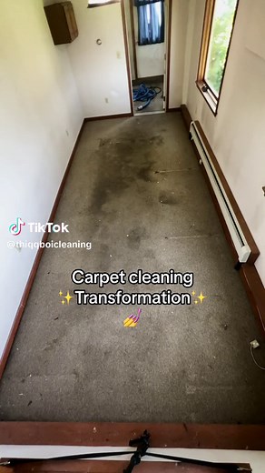 Effective Carpet Cleaning Tips and Techniques