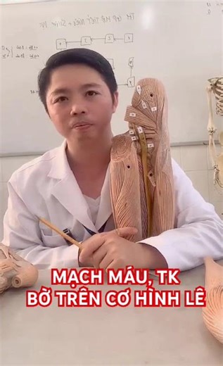 Common landmarks for testing on models are in the gluteal region.