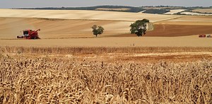 Innovations dans le traitement des déchets : la méthanisation