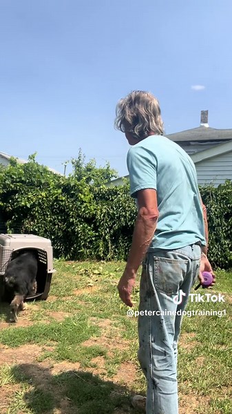 Teach Your Dog the Kennel Game for Positive Crate Training