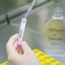 Video: Characterization of Tumor Cells Using a Medical Wire for Capturing Circulating Tumor Cells: A 3D Approach Based on Immunofluorescence and DNA FISH