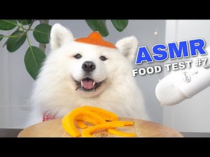 Dog Reviews Different Types of Food | Maya Monch Mission #7