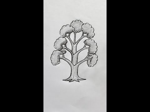 Beautiful Tree Drawing 🌿 | Satisfying Art