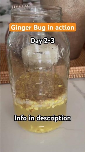 Make Your Own Probiotic Ginger Bug | Easy Fermentation Guide