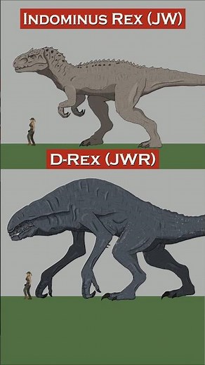 D-Rex vs Indominus Rex Size Comparison | Jurassic World Rebirth #drex #jurassicworldrebirth