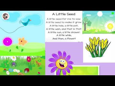 Spring Is Here Popular Poems in English for Kids