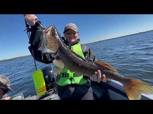 Catching Big Walleye In Northern Minnesota - Pelican Lake Fishing Success | CrazyGoodFishing.com