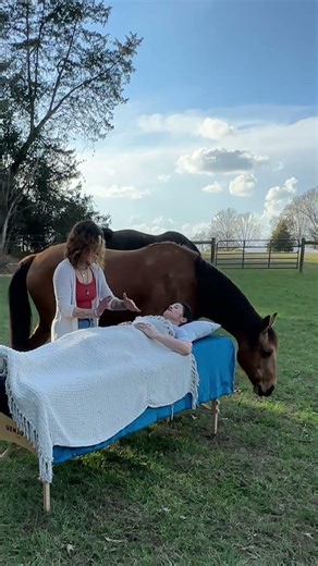 Equine Energy Reiki