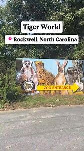 🐅 Your wild adventure starts HERE in 📍Rowan County! Step into a world where lions roar, tigers prowl, sloths chill, and kangaroos hop - all at 🐯 Tiger World in Rockwell, N.C. 🐾✨ This endangered species preserve is packed with jaw-dropping animal encounters, thrilling tours, and even safari-themed mini golf! 🎯 Whether you’re observing big cats, meeting “Nacho” the sloth, or enjoying the fun at one of their annual events, every visit is an unforgettable experience for the whole family. 🦁 Rea