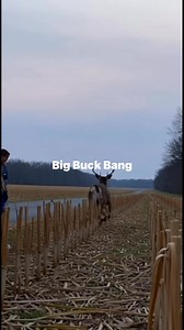 Buck Jordan jumps School bus! Like, Share, Comment, Follow! | Big Bang Buck